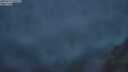 ./images/calvert/foggy-cove/20250712/foggy-cove20250712_045507M.jpg