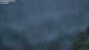 ./images/calvert/foggy-cove/20250712/foggy-cove20250712_050007M.jpg