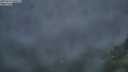 ./images/calvert/foggy-cove/20250712/foggy-cove20250712_050507M.jpg