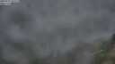 ./images/calvert/foggy-cove/20250712/foggy-cove20250712_051509M.jpg