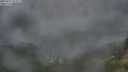./images/calvert/foggy-cove/20250712/foggy-cove20250712_052010M.jpg