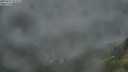 ./images/calvert/foggy-cove/20250712/foggy-cove20250712_052508M.jpg