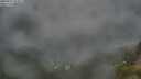 ./images/calvert/foggy-cove/20250712/foggy-cove20250712_053009M.jpg