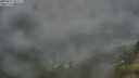 ./images/calvert/foggy-cove/20250712/foggy-cove20250712_053507M.jpg