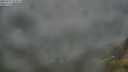 ./images/calvert/foggy-cove/20250712/foggy-cove20250712_054008M.jpg