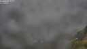 ./images/calvert/foggy-cove/20250712/foggy-cove20250712_054508M.jpg