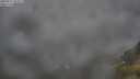 ./images/calvert/foggy-cove/20250712/foggy-cove20250712_055009M.jpg