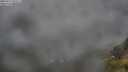 ./images/calvert/foggy-cove/20250712/foggy-cove20250712_055507M.jpg