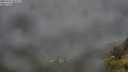 ./images/calvert/foggy-cove/20250712/foggy-cove20250712_060509M.jpg