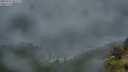 ./images/calvert/foggy-cove/20250712/foggy-cove20250712_061509M.jpg