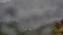./images/calvert/foggy-cove/20250712/foggy-cove20250712_062011M.jpg