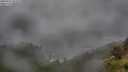./images/calvert/foggy-cove/20250712/foggy-cove20250712_062510M.jpg