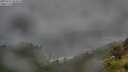 ./images/calvert/foggy-cove/20250712/foggy-cove20250712_063010M.jpg