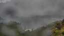 ./images/calvert/foggy-cove/20250712/foggy-cove20250712_063508M.jpg