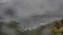 ./images/calvert/foggy-cove/20250712/foggy-cove20250712_064010M.jpg