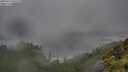 ./images/calvert/foggy-cove/20250712/foggy-cove20250712_071509M.jpg