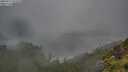 ./images/calvert/foggy-cove/20250712/foggy-cove20250712_072010M.jpg