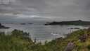 ./images/calvert/foggy-cove/20250712/foggy-cove20250712_082508M.jpg