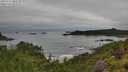 ./images/calvert/foggy-cove/20250712/foggy-cove20250712_084511M.jpg