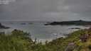 ./images/calvert/foggy-cove/20250712/foggy-cove20250712_090010M.jpg