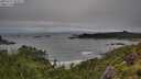 ./images/calvert/foggy-cove/20250712/foggy-cove20250712_094509M.jpg