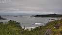 ./images/calvert/foggy-cove/20250712/foggy-cove20250712_100011M.jpg