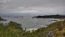 ./images/calvert/foggy-cove/20250712/foggy-cove20250712_100506M.jpg