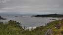 ./images/calvert/foggy-cove/20250712/foggy-cove20250712_101510M.jpg