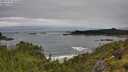 ./images/calvert/foggy-cove/20250712/foggy-cove20250712_102510M.jpg
