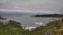 ./images/calvert/foggy-cove/20250712/foggy-cove20250712_103510M.jpg