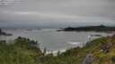 ./images/calvert/foggy-cove/20250712/foggy-cove20250712_110010M.jpg