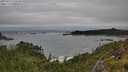 ./images/calvert/foggy-cove/20250712/foggy-cove20250712_110510M.jpg