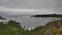 ./images/calvert/foggy-cove/20250712/foggy-cove20250712_113011M.jpg