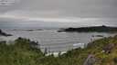 ./images/calvert/foggy-cove/20250712/foggy-cove20250712_113508M.jpg