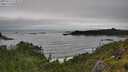 ./images/calvert/foggy-cove/20250712/foggy-cove20250712_114510M.jpg