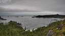 ./images/calvert/foggy-cove/20250712/foggy-cove20250712_115011M.jpg