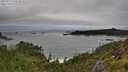 ./images/calvert/foggy-cove/20250712/foggy-cove20250712_120510M.jpg