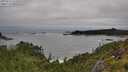 ./images/calvert/foggy-cove/20250712/foggy-cove20250712_121010M.jpg
