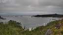 ./images/calvert/foggy-cove/20250712/foggy-cove20250712_122009M.jpg