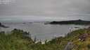 ./images/calvert/foggy-cove/20250712/foggy-cove20250712_122508M.jpg