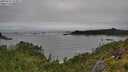 ./images/calvert/foggy-cove/20250712/foggy-cove20250712_123011M.jpg