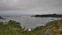 ./images/calvert/foggy-cove/20250712/foggy-cove20250712_123509M.jpg
