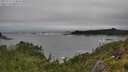 ./images/calvert/foggy-cove/20250712/foggy-cove20250712_124010M.jpg