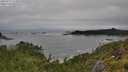 ./images/calvert/foggy-cove/20250712/foggy-cove20250712_124509M.jpg