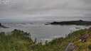 ./images/calvert/foggy-cove/20250712/foggy-cove20250712_132008M.jpg