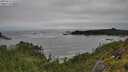 ./images/calvert/foggy-cove/20250712/foggy-cove20250712_132510M.jpg