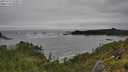 ./images/calvert/foggy-cove/20250712/foggy-cove20250712_133012M.jpg