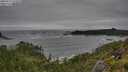 ./images/calvert/foggy-cove/20250712/foggy-cove20250712_133510M.jpg