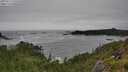 ./images/calvert/foggy-cove/20250712/foggy-cove20250712_135510M.jpg