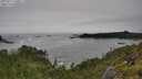 ./images/calvert/foggy-cove/20250712/foggy-cove20250712_140011M.jpg